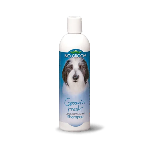 Bio-Groom Groom 'n Fresh Odor Eliminating Shampoo for Dogs 12oz