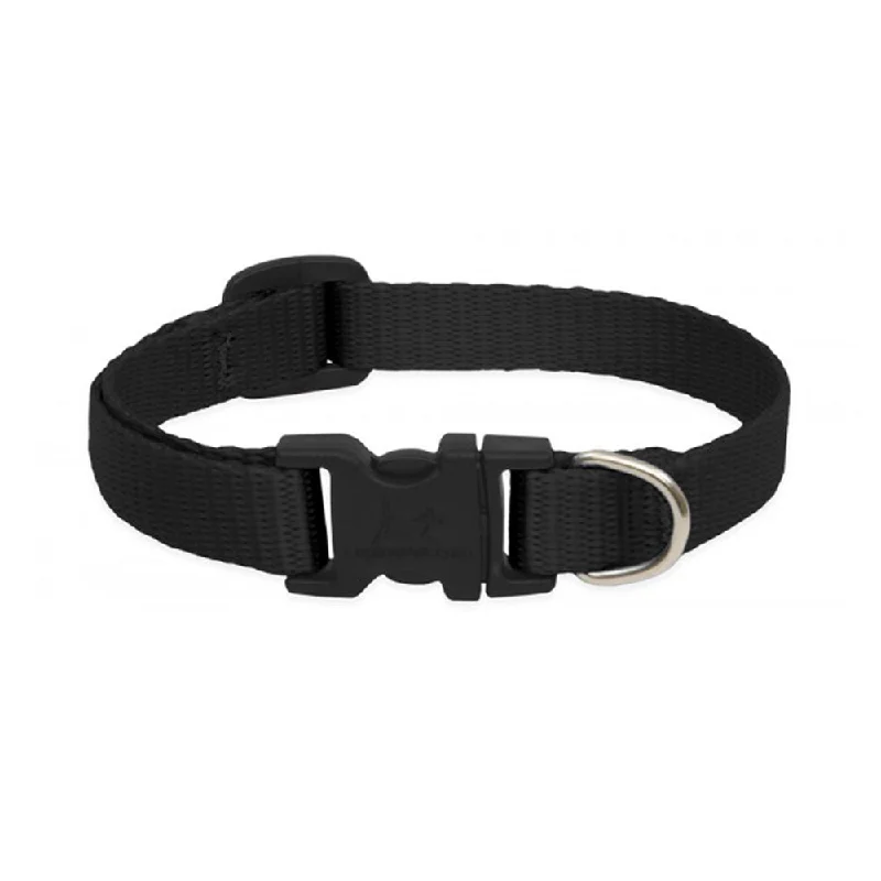 Cat Collar Black 1/2'' Basic