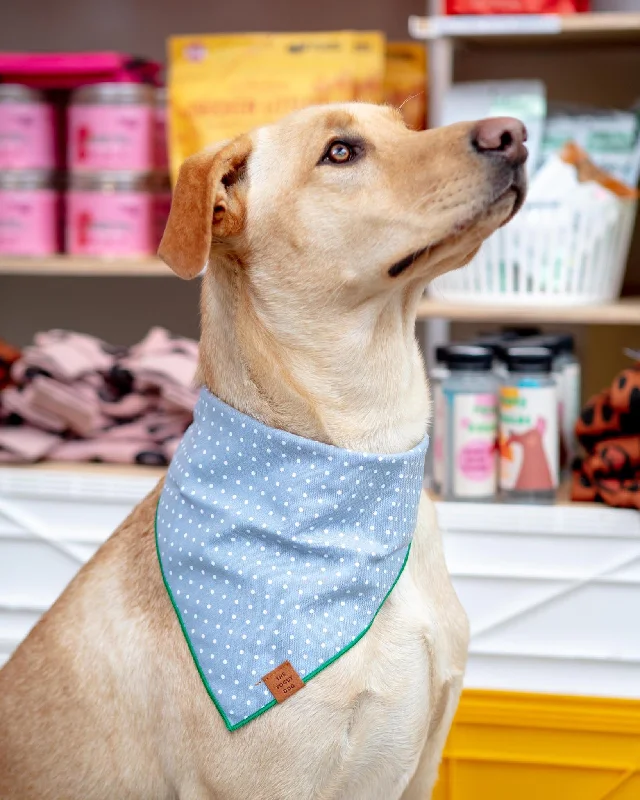 Chambray Dots Dog Bandana