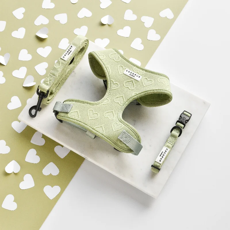 Luxe Sage Heart Adjustable Neck Harness, Lead & Collar Bundle