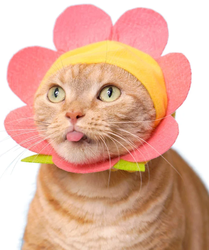 Flower Cap for Cats (Surprise Box)