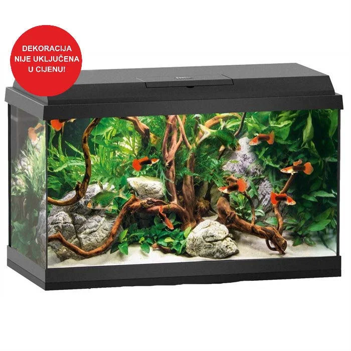 JUWEL Akvarij Primo 60 LED, 61x31x39cm, 57 L, crni