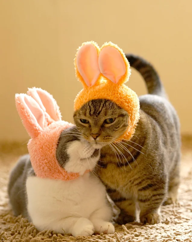 Rabbit Cap for Cats (Surprise Box)