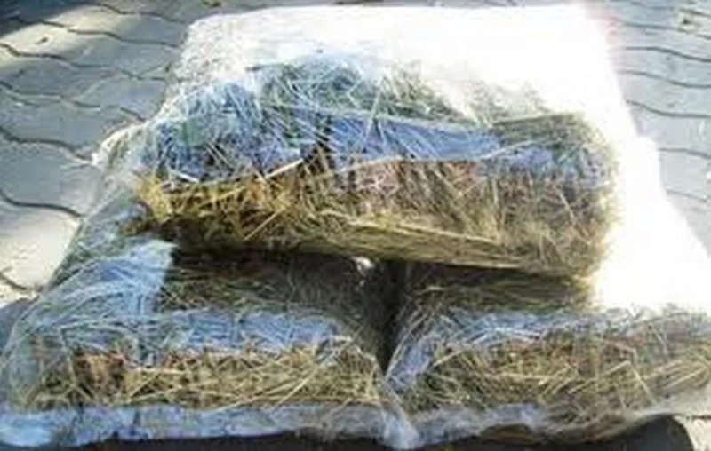 Meadow Hay - 10l