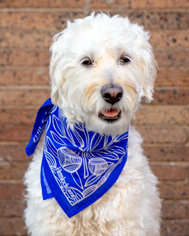 Nyla Bandana for Human & Dog (22"x22")