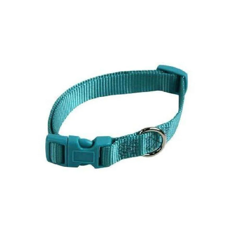 Papillon Nylon Collar Adjustable, 10 mm x 20-30 cm, Turquoise