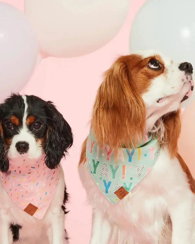 Yay Reversible Birthday Dog Bandana