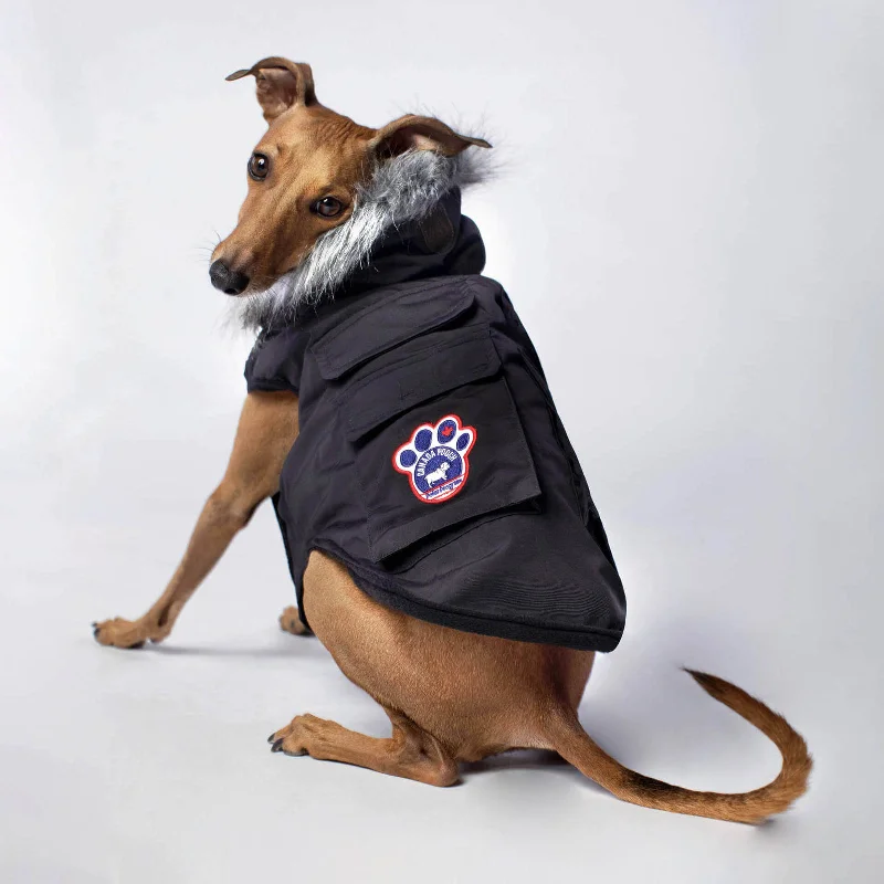 CANADA POOCH | Everest Explorer Vest in Black